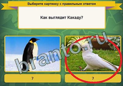 Подсказки на игру Выбирайка Уровень 392