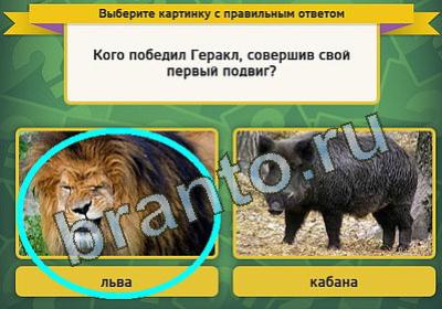 Выбирайка решения Уровень 442