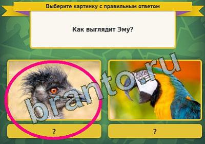 Игра Выбирайка подсказки Уровень 468