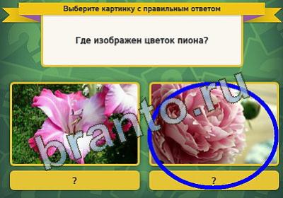 игра Выбирайка ответ на Уровень 470