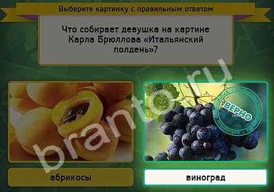 Подсказки на игру Выбирайка Уровень 4502