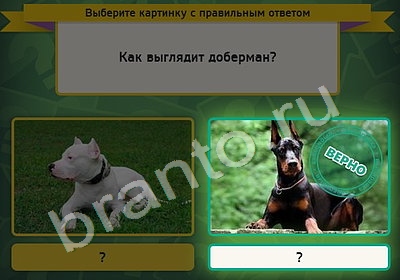 Выбирайка решения Уровень 4512