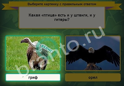 Выбирайка ответы в картинках Уровень 4516
