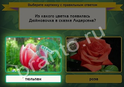 Игра Выбирайка ответы Уровень 4527