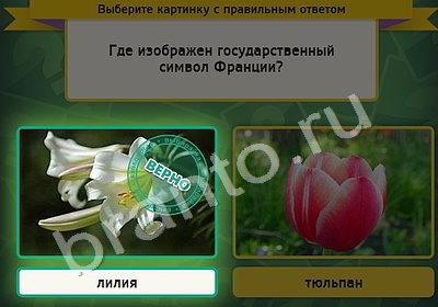 Подсказки на игру Выбирайка Уровень 4532