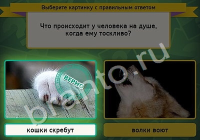 Выбирайка игра ответы в одноклассниках Уровень 4537