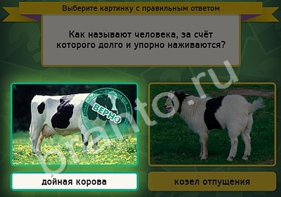 решебник на игру Выбирайка Уровень 4541