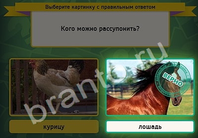 решебник на игру Выбирайка Уровень 4551