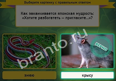 Подсказки на игру Выбирайка Уровень 4562