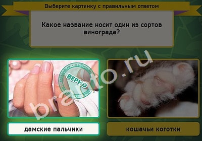 Игра Выбирайка подсказки Уровень 4578