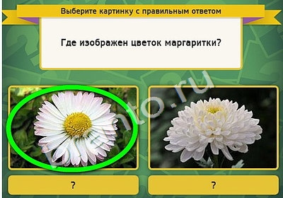 Выбирайка решения Уровень 4582