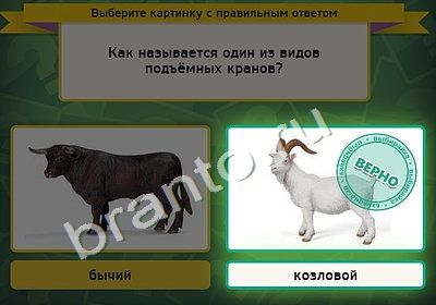 Игра Выбирайка подсказки Уровень 4588