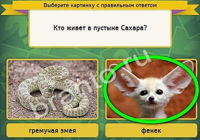 ответы на игру Выбирайка в одноклассниках Уровень 4591