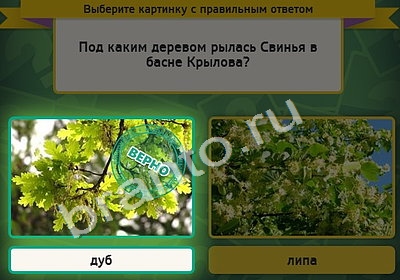 Выбирайка решения Уровень 4602