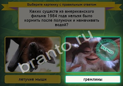 Игра Выбирайка подсказки Уровень 4608