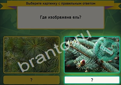 Выбирайка ответы в картинках Уровень 4616
