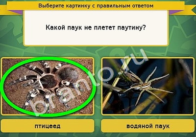 Решения на игру Выбирайка Уровень 4623