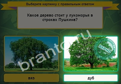 Выбирайка решения Уровень 4632