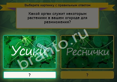 Выбирайка игра ответы Уровень 4633