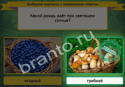 Выбирайка игра помощь Уровень 4635