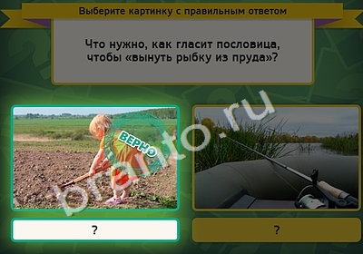 Выбирайка игра подсказки Уровень 4644