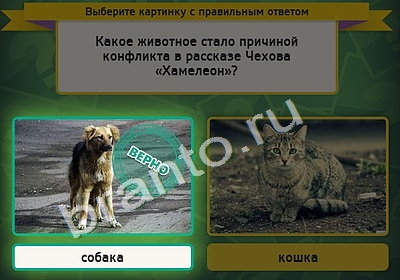 ответы на игру Выбирайка в одноклассниках Уровень 4651