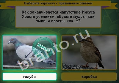 решебник на игру Выбирайка Уровень 4671