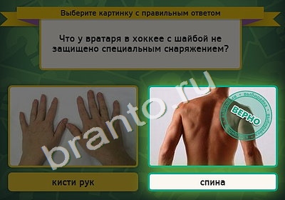 Выбирайка ответы в картинках Уровень 4676