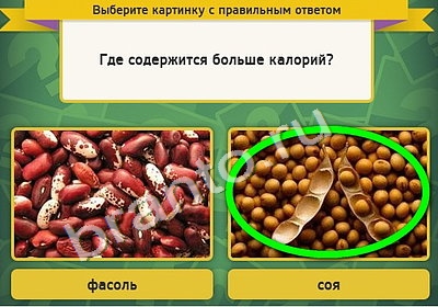 Игра Выбирайка подсказки Уровень 4678