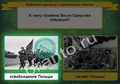 Выбирайка игра ответы Уровень 4703