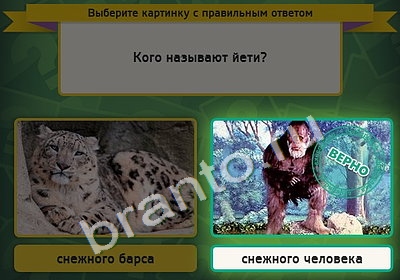 Одноклассники Выбирайка ответы Уровень 4718