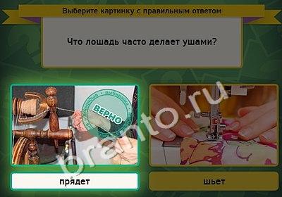 Выбирайка ответы в картинках Уровень 4736