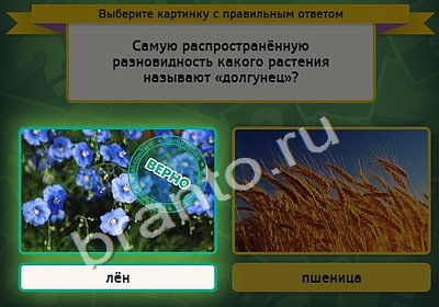 Выбирайка игра подсказки Уровень 4754