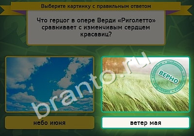 Игра Выбирайка подсказки Уровень 4758