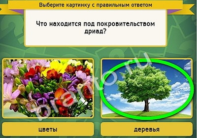 решебник на игру Выбирайка Уровень 4761