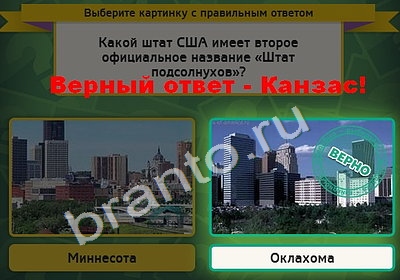 игра Выбирайка ответ на Уровень 4780