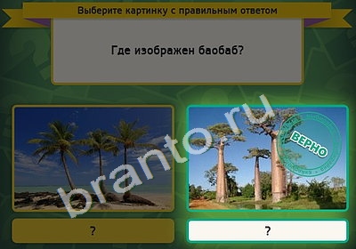 Выбирайка ответы в картинках Уровень 4786