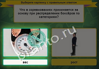 решебник на игру Выбирайка Уровень 4791