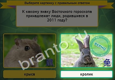 Игра Выбирайка подсказки Уровень 4798