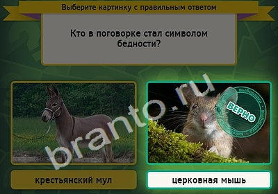 игра Выбирайка ответ на Уровень 4800