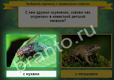 решебник на игру Выбирайка Уровень 4811