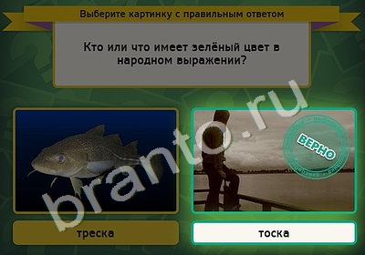 Выбирайка решения Уровень 4812