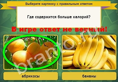 игра Выбирайка ответ на Уровень 4820