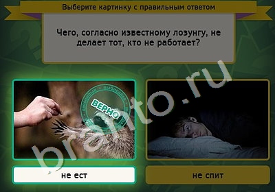 Выбирайка игра ответы Уровень 4823