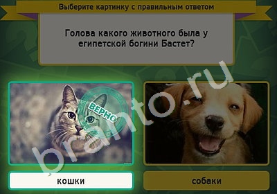 ответы на игру Выбирайка в одноклассниках Уровень 4831