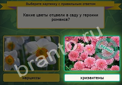 Выбирайка подсказки в контакте Уровень 4839