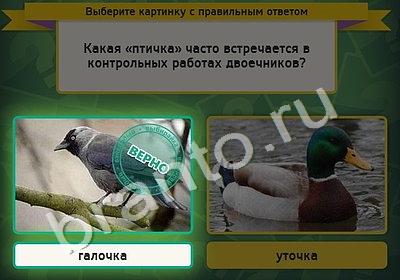 Выбирайка игра подсказки Уровень 4844