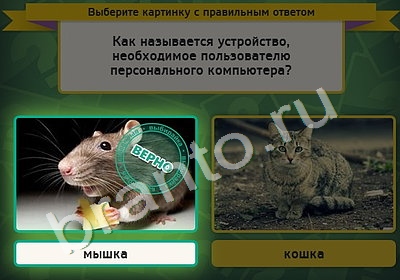 игра Выбирайка ответ на Уровень 4850
