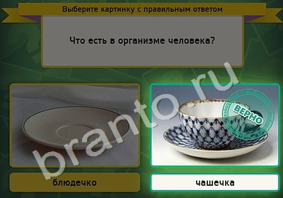 игра Выбирайка помощь Уровень 4859