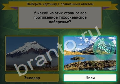 игра Выбирайка ответ на Уровень 4860